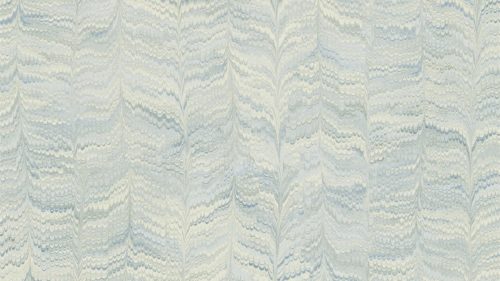 Jaipur Plain 311726